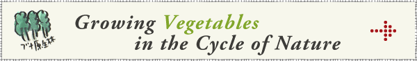 Growing Vegetables in the Cycle of Nature