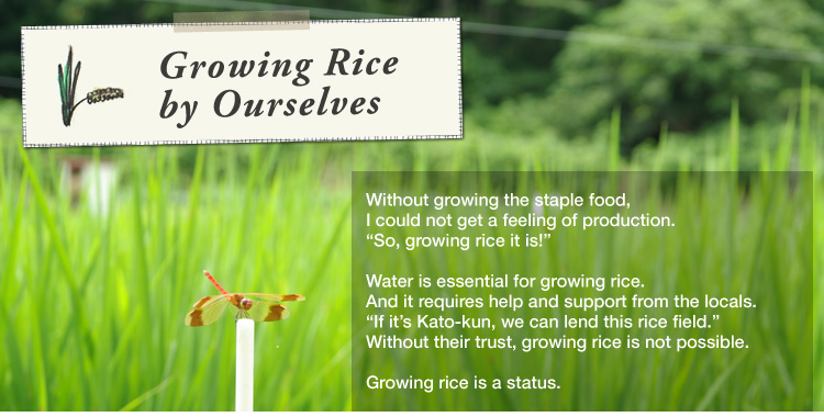 Growing Rice by Ourselves: 

Without growing the staple food, I could not get a feeling of production.
"So, growing rice it is!" 

Water is essential for growing rice.
And it requires help and support from the locals.
"If it’s Kato-kun, we can lend this rice field." 
Without their trust, growing rice is not possible. 

Growing rice is a status.
