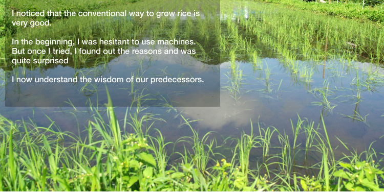 I noticed that the conventional way to grow rice is very good. 

In the beginning, I was hesitant to use machines.
But once I tried, I found out the reasons and was quite surprised 

I now understand the wisdom of our predecessors.
